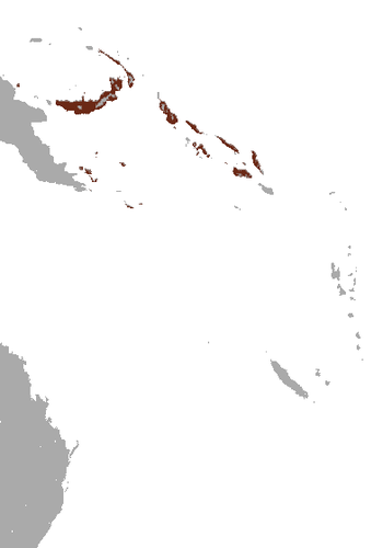 Island tube-nosed fruit bat